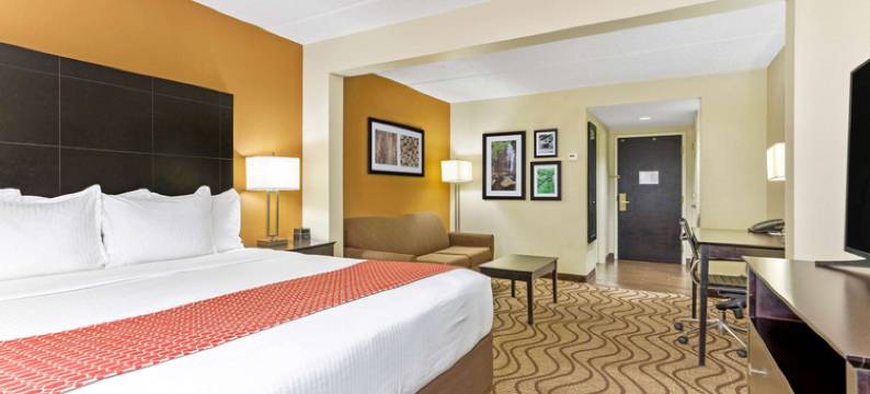 坦帕北I-75拉昆塔温德姆酒店及套房(La Quinta Inn & Suites by Wyndham Tampa North I-75)图片