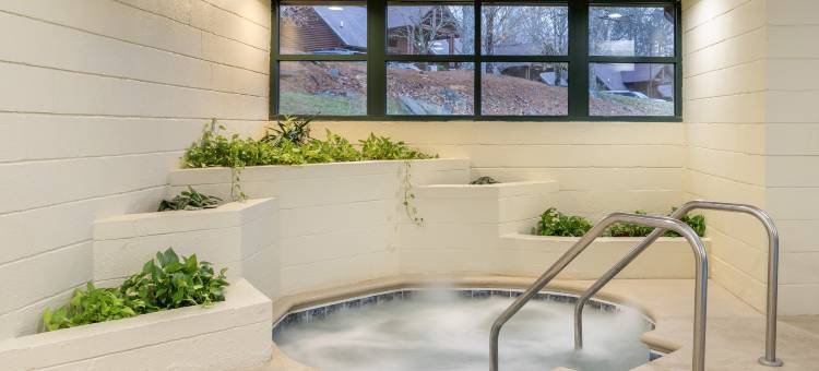 本特克里克高尔夫村钻石度假村(Hilton Vacation Club Bent Creek Golf Village Gatlinburg)图片