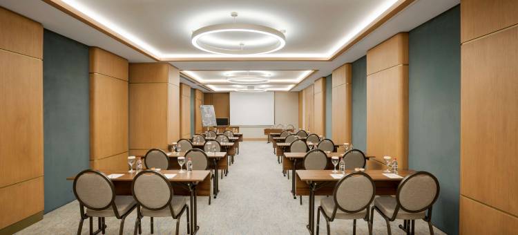伊斯坦布尔梅尔特雷迪森酒店(Radisson Hotel Istanbul Merter)图片