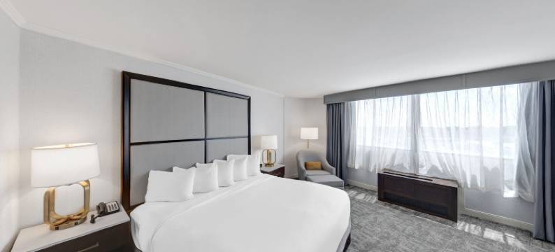 希尔顿芝加哥-橡树草坪(Hilton Chicago/Oak Lawn)图片