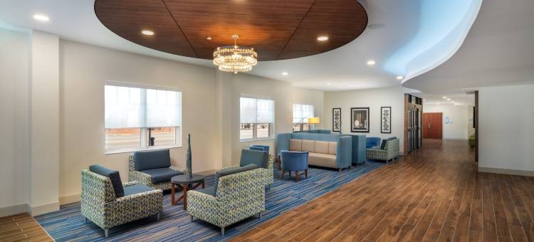 达洛尼加大学区智选假日套房酒店(Holiday Inn Express & Suites Dahlonega - University Area)图片