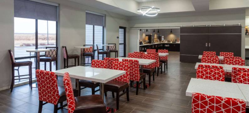 温德姆拉昆塔科勒尔维尔爱荷华市酒店及套房(La Quinta Inn & Suites by Wyndham Coralville Iowa City)图片