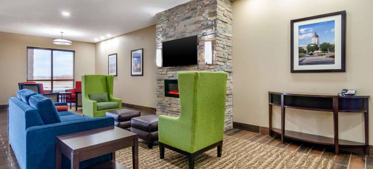 萨莱纳北舒适套房酒店(Comfort Inn & Suites Salina North)图片