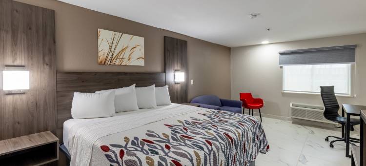 麦卡伦法尔红顶酒店(Red Roof Inn Pharr - McAllen)图片