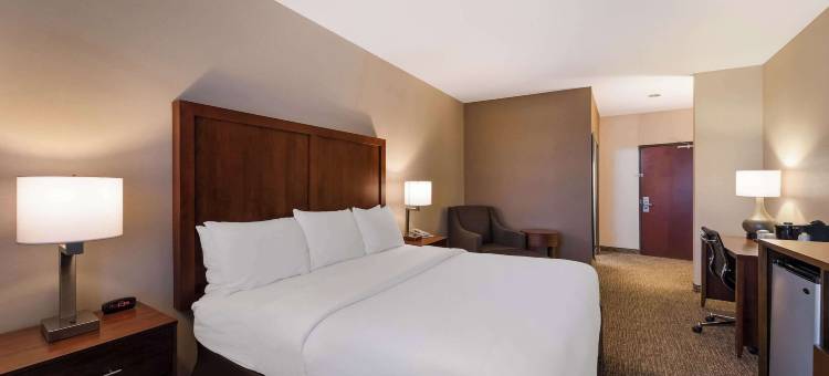 舒适套房酒店-拉斯维加斯内利斯(Comfort Inn & Suites Las Vegas - Nellis)图片
