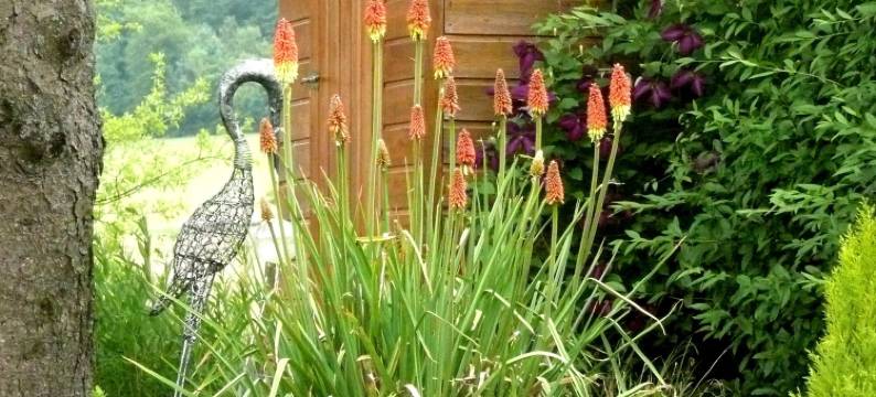 金克洛斯阿登内斯住宿加早餐旅馆(Au Clos d'Ardennes)图片