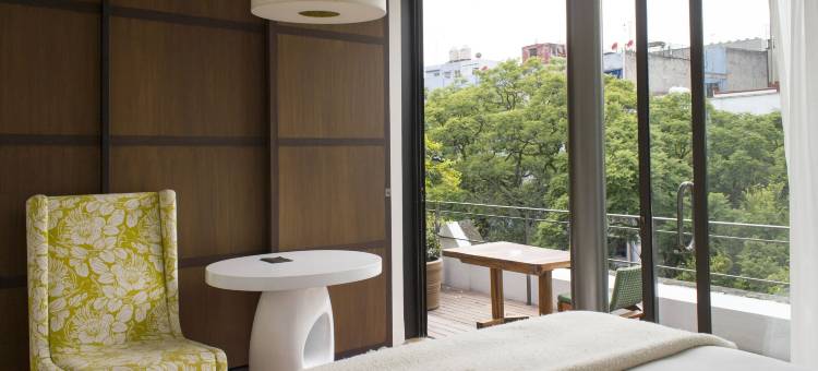 DF康德萨，Design Hotels™设计酒店成员(Condesa df, Mexico City, a Member of Design Hotels)图片