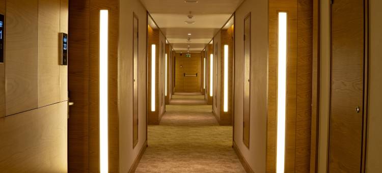 阿涅蒙肯特埃登酒店(Anemon Kent Aydın Otel)图片