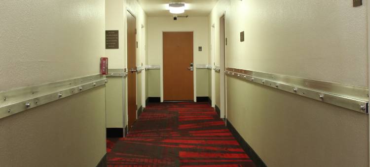 洛杉矶近好莱坞舒适酒店(Comfort Inn Los Angeles near Hollywood)图片