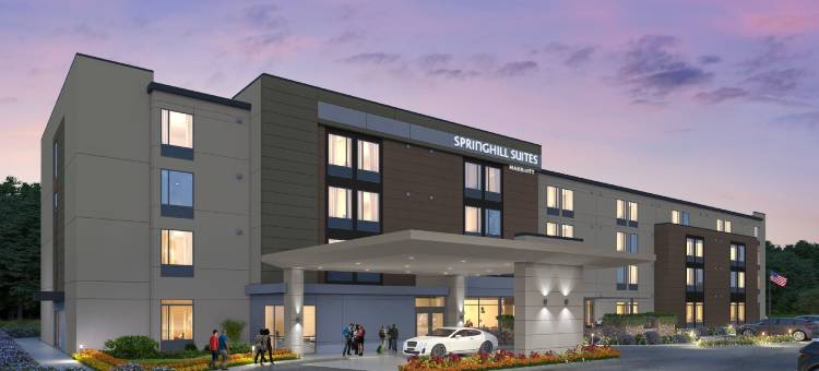 杰克逊万豪SpringHill Suites酒店(SpringHill Suites Jackson)图片