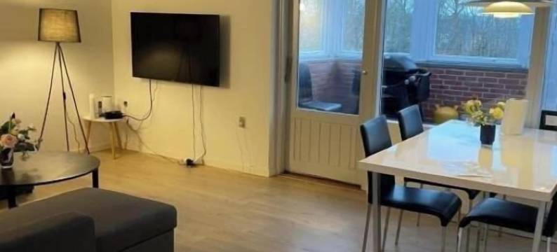 希尔莫尔的公寓(Hilmor's Lejligheder)图片