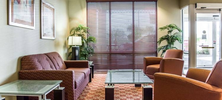 舒适套房酒店-棕榈湾墨尔本(Comfort Suites Palm Bay - Melbourne)图片