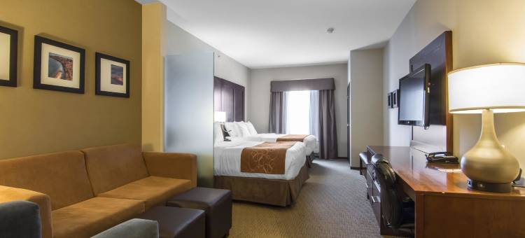 舒适套房酒店(Comfort Suites)图片