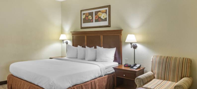 亚特兰大市中心丽怡酒店(Country Inn & Suites by Radisson, Atlanta Downtown)图片