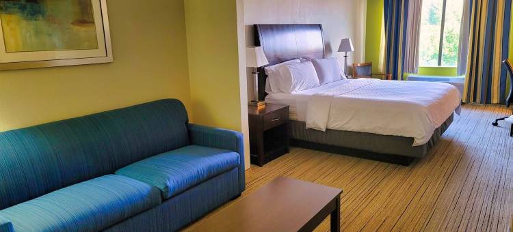 智选假日套房酒店威尔逊市中心(Holiday Inn Express & Suites Wilson-Downtown)图片