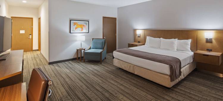 贝斯特韦斯特格林橡树套房酒店(Best Western Green Oak Inn  Suites)图片