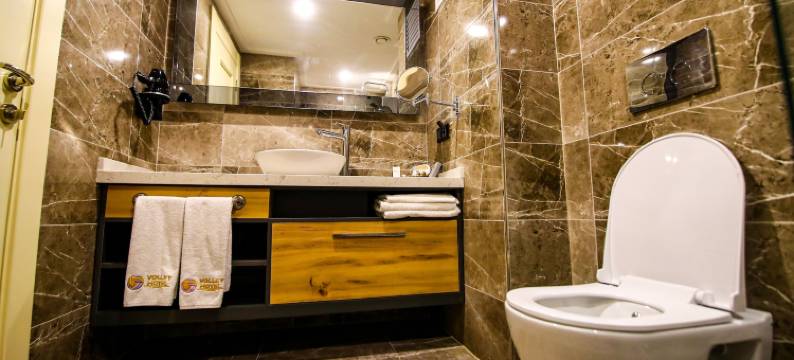 安卡拉排球酒店(Volley Hotel Ankara)图片