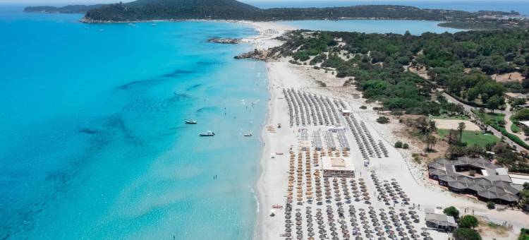 VOI Tanka Selected图片