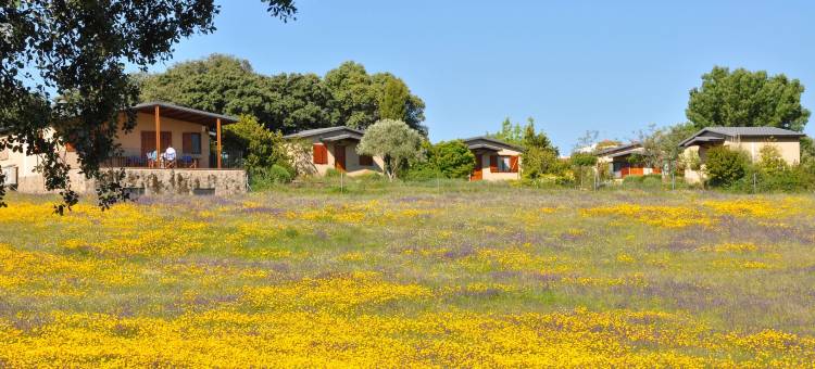 靠近阿尔克诺克酒店(La Cerca Del Alcornoque)图片