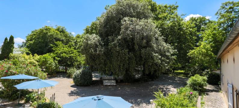 贝格城堡公寓(Résidence du Château de Bégué)图片