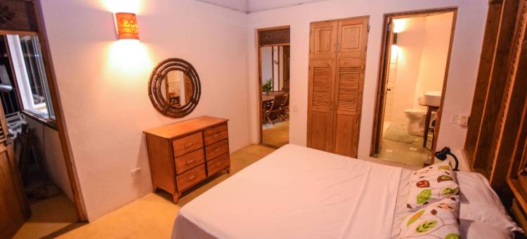 克拉夫弗德生态山林小屋(Clave Verde Ecolodge)图片