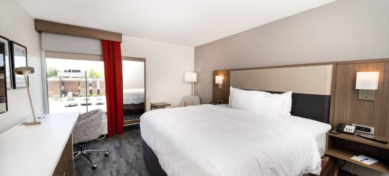 舒适酒店及套房-怀奥米辛雷丁(Comfort Inn & Suites Wyomissing-Reading)图片