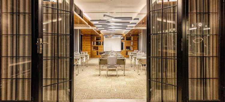 德德曼埃斯基谢希尔公园酒店(Park Dedeman Eskişehir)图片