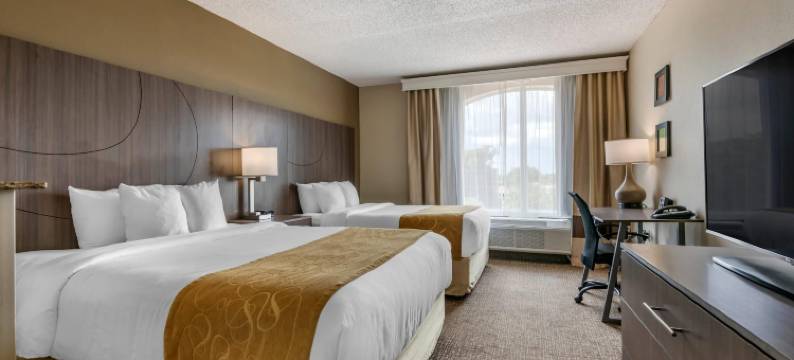 康福特套房索格拉斯(Comfort Suites Sawgrass)图片