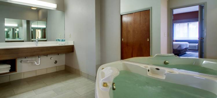 北密尔沃基/布朗迪尔-梅库恩智选假日酒店(Holiday Inn Express Milwaukee N-Brown Deer/Mequon)图片