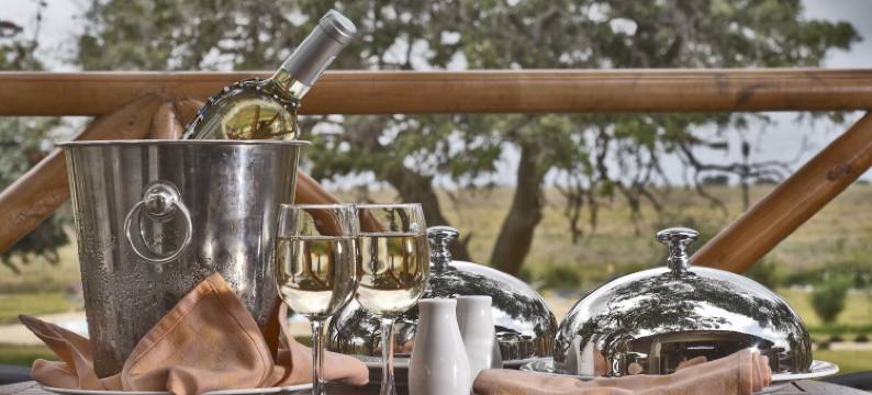 阿希尼尔阿鲁巴旅舍(Ashnil Aruba Lodge)图片