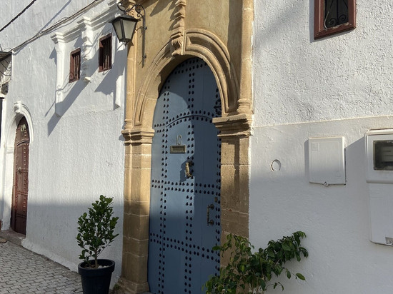 里亚德阿马里斯