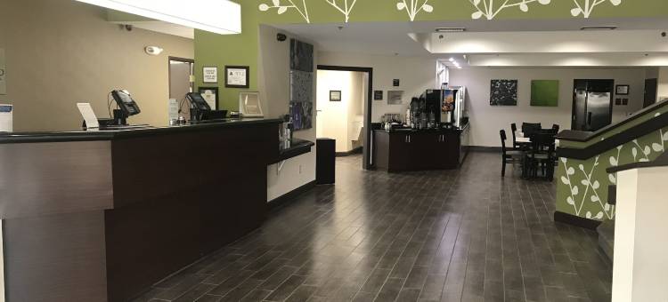 舒眠酒店罗利达拉姆机场(Sleep Inn Raleigh Durham Airport)图片