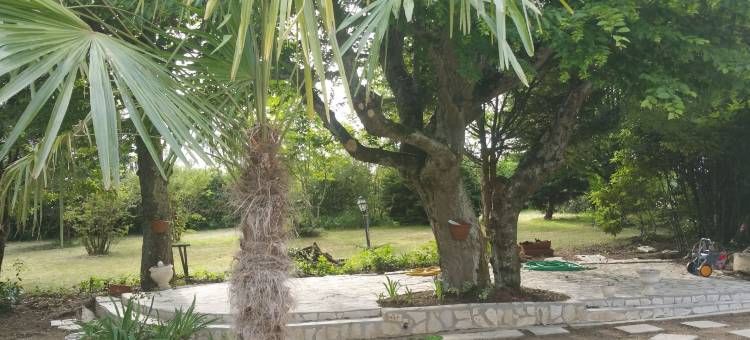 坎尼塞住宿加早餐旅馆(Le Domaine de Canesse)图片