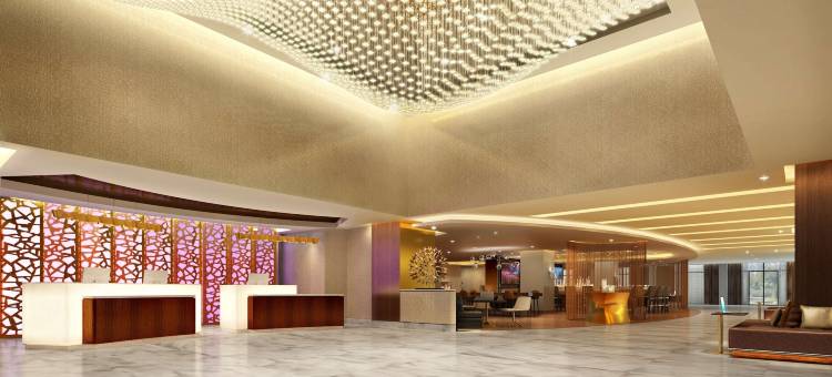 华盛顿特区国家广场希尔顿酒店(Hilton Washington DC National Mall the Wharf)图片
