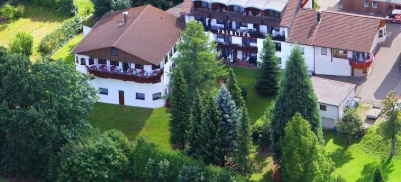 塔布里克康体酒店(Wellness-Hotel Talblick)图片