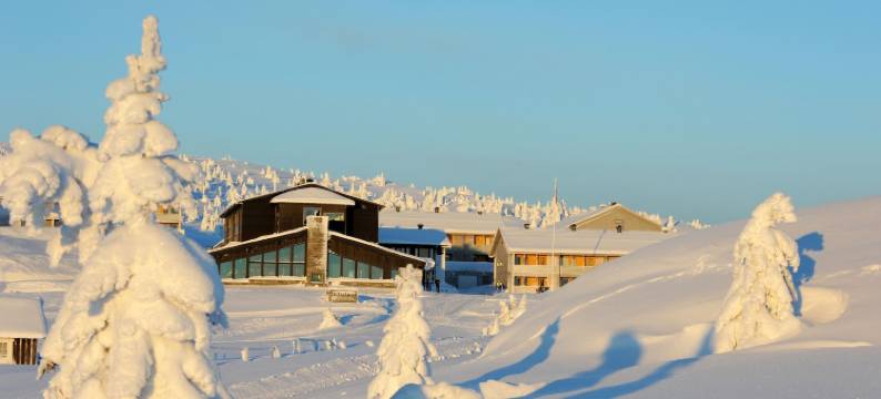 哈弗耶尔皮勒斯托瓦酒店(Pellestova Hotell Hafjell)图片