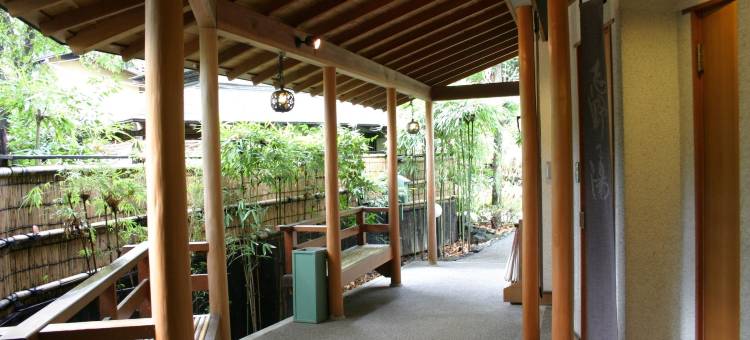 伊东高原城崎温泉花吹雪(Hanafubuki Ryokan)图片