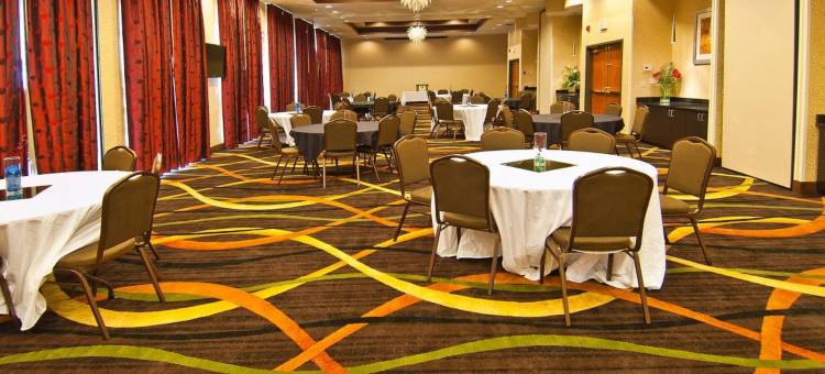 Holiday Inn 维克斯堡(Holiday Inn Vicksburg)图片