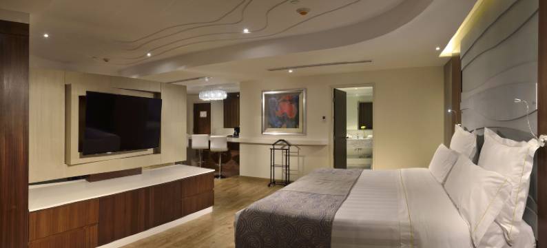 HS 霍特森锡劳酒店(HS Hotsson Hotel Silao)图片