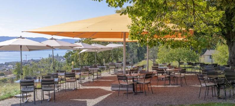 博登酒店(Hotel Boldern)图片