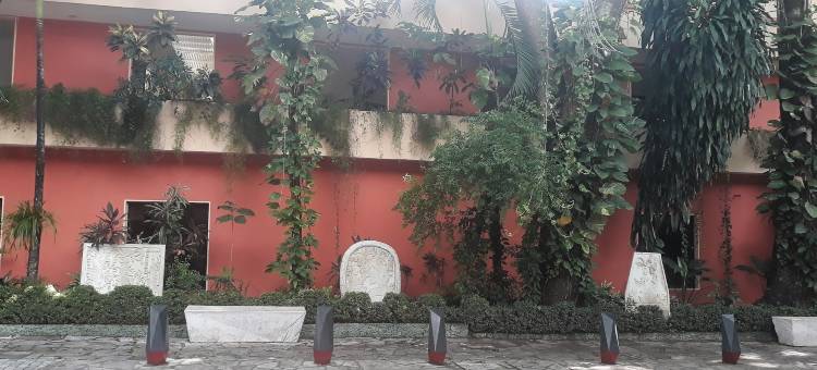 突莉潘思快捷酒店(Maya Tulipanes Express)图片