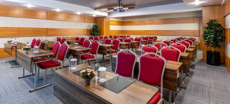 迪亚巴克尔安莫酒店(Anemon Kent Diyarbakır Otel)图片