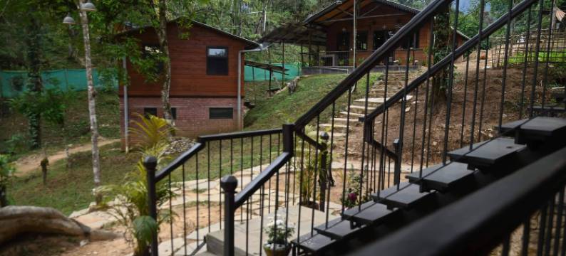 红熊猫丛林营地(Redpanda Jungle Camp)图片