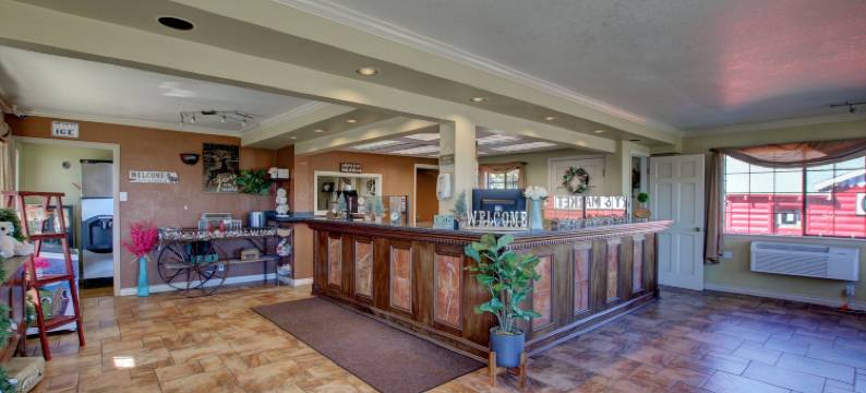 湖景旅馆(Lake View Lodge)图片