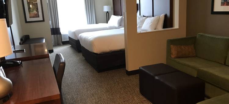 凯艺酒店(Comfort Suites)图片