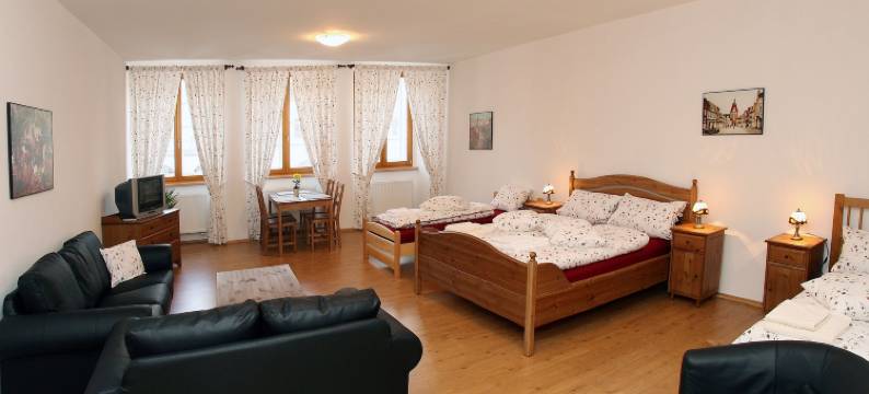 乔德斯凯霍赫拉杜膳食公寓酒店(Penzion U Chodskeho Hradu)图片