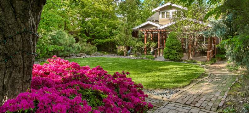 金铃花的美人酒店(A Cowslip's Belle Inn)图片