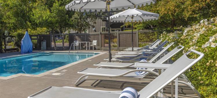 森扎酒店(Senza Hotel)图片