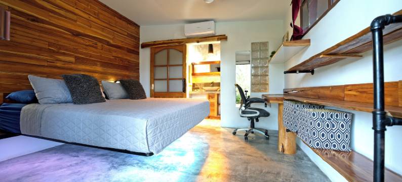 Casa Swell Coronado 掀起波澜的科罗纳多之家(Casa Swell Coronado A Unique Blend of Luxury and Nature in the Hearth of Coronado)图片