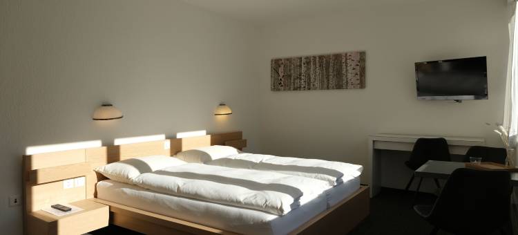 绿洲酒店(Hôtel Oasis)图片